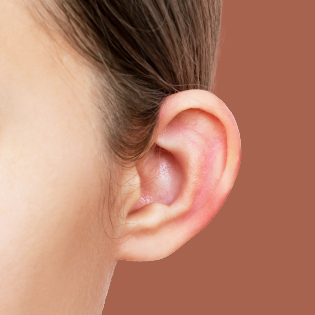 closeup image of an ear on a blush background
